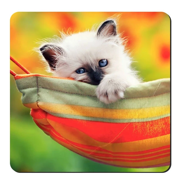  زیر لیوانی طرح بچه گربه کد nzl645