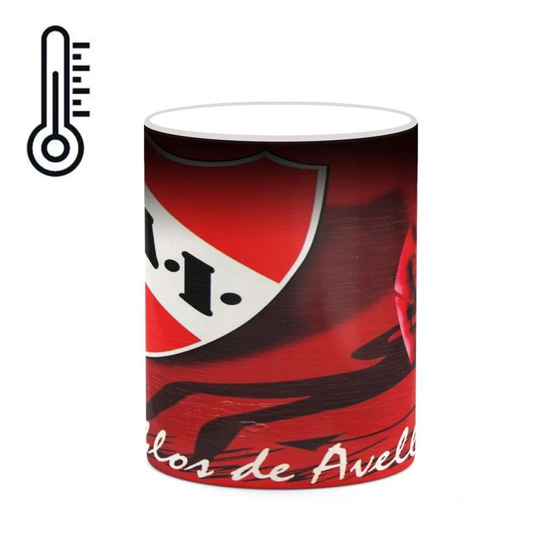 ماگ حرارتی کاکتی مدل تیم Indepedente3 کد mgh19617