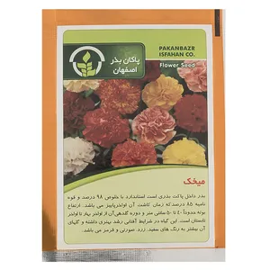 بذر گل میخک پاکان بذر