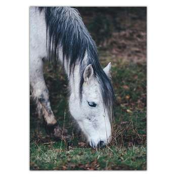 تابلو شاسی ونسونی طرح Horse Grabbing سایز 30 × 40 سانتی متر