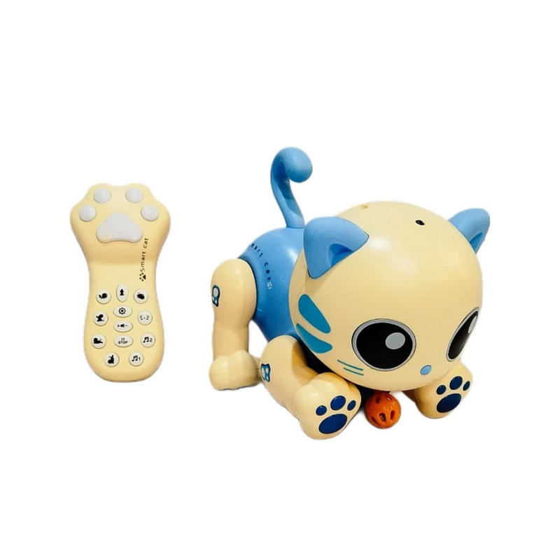 ربات کنترلی مدل گربه سنسوری کد 31K