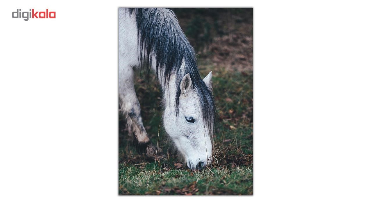 تابلو شاسی ونسونی طرح Horse Grabbing سایز 30 × 40 سانتی متر main 1 1