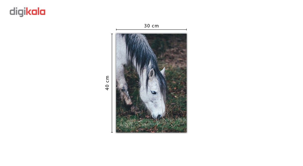 تابلو شاسی ونسونی طرح Horse Grabbing سایز 30 × 40 سانتی متر main 1 2