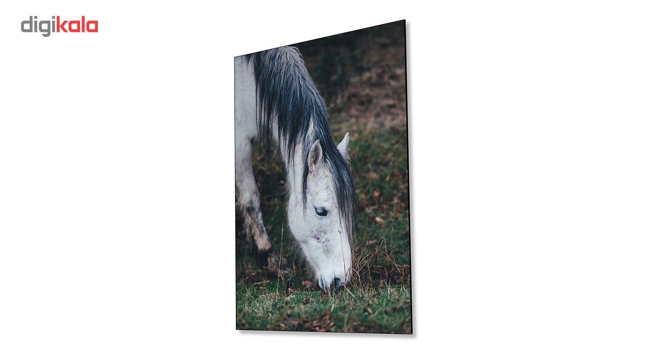 تابلو شاسی ونسونی طرح Horse Grabbing سایز 30 × 40 سانتی متر main 1 3