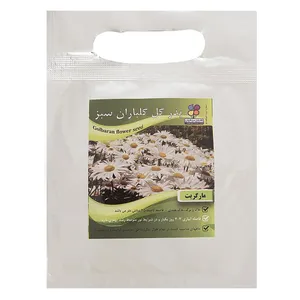 بذر گل مارگریت گلباران سبز