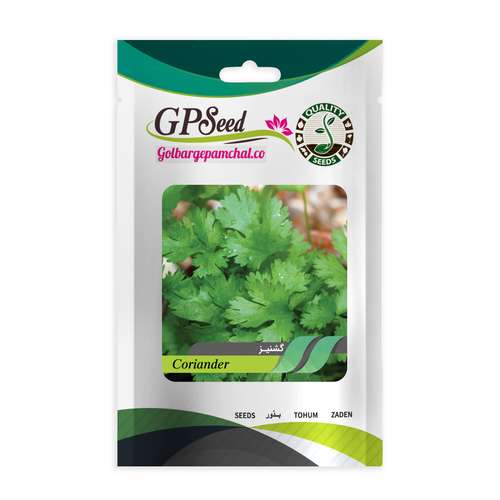 بذر گشنیز گلبرگ پامچال کد GPF-158