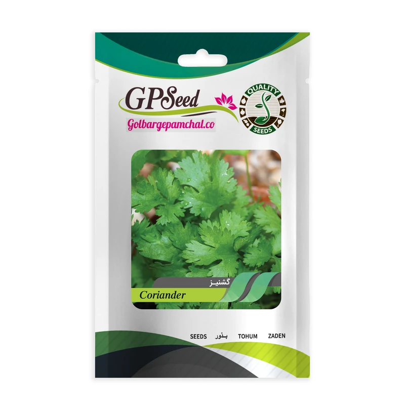 بذر گشنیز گلبرگ پامچال کد GPF-158