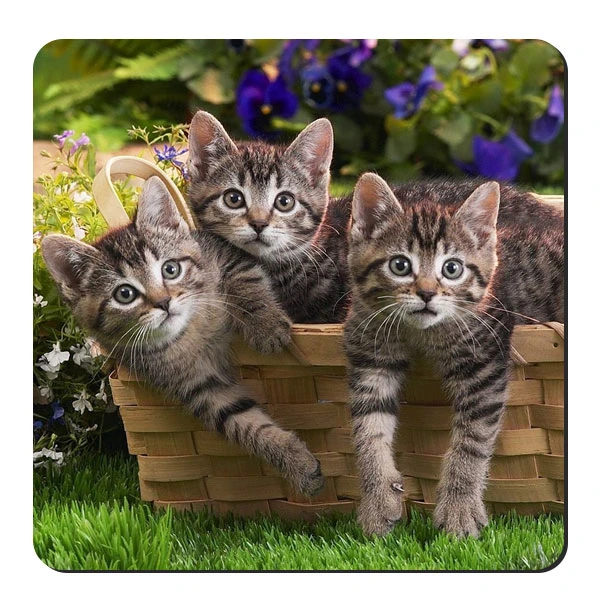 	 زیر لیوانی طرح گربه کد nzl648