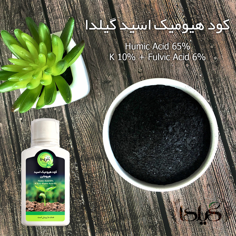 کود مایع هیومیک اسید هیومابن گیلدا مدل GHA حجم 120 میلی لیتر