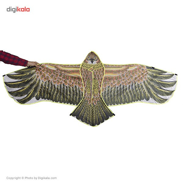 بادبادک طرح Eagle سایز 5