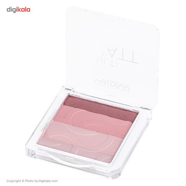 رژ گونه کاتریس شماره 010