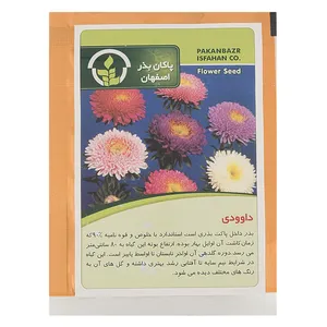 بذر گل داوودی پاکان بذر