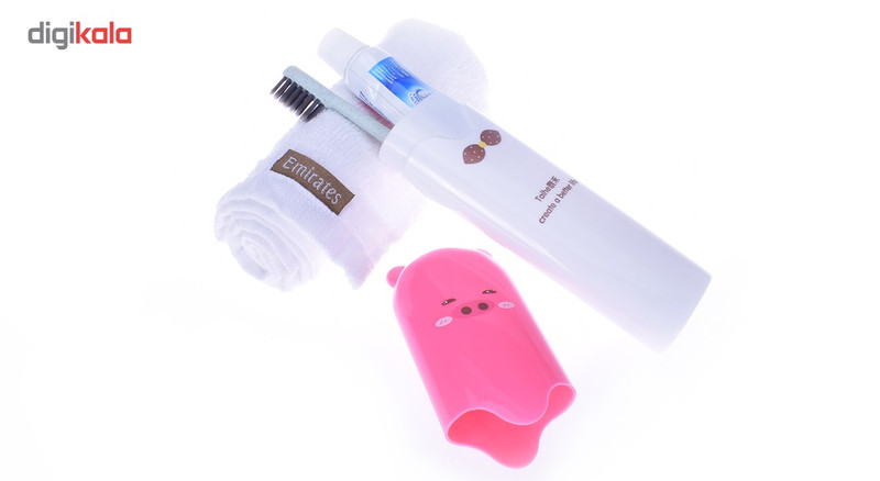 محافظ مسواک ترانه مدل TAIHE 2