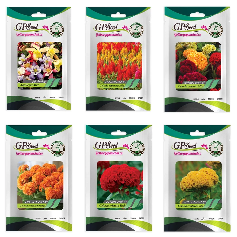 بذر گل تاج خروس همه رنگ گلدانی گلبرگ پامچال کد G-P-GP-06 مجموعه 6 عددی