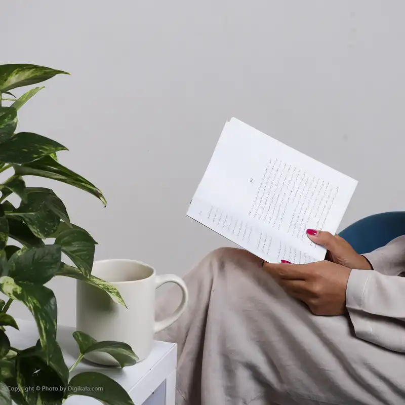 کتاب قصه های امیرعلی 2 اثر امیرعلی نبویان نشر نقش و نگار