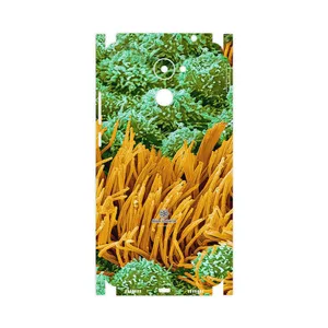 MAHOOT Atom Universe 6-FullSkin Cover Sticker for Huawei Y7 Prime