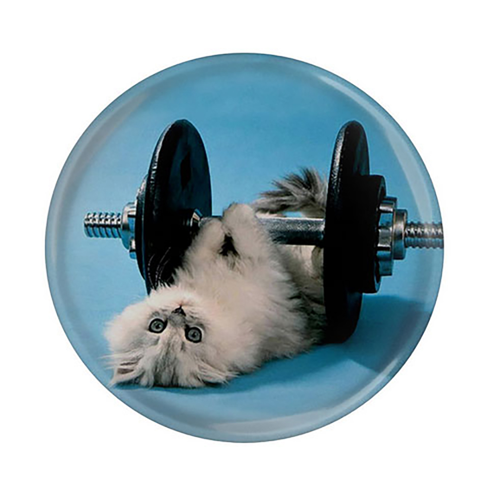 پیکسل
عرش مدل گربه و وزنه کد Asp412