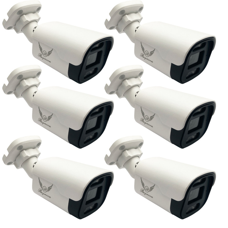 دوربین مداربسته تحت شبکه رایمون مدل پنج مگاپیکسل کد 8235-POE بسته شش عددی