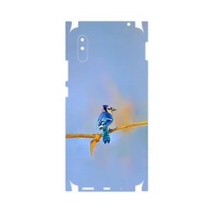 MAHOOT Cyanocitta cristata-FullSkin Cover Sticker for Xiaomi Redmi 9i Sport