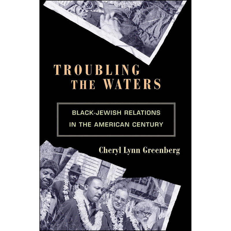 کتاب Troubling the Waters اثر Cheryl Lynn Greenberg انتشارات Princeton University Press