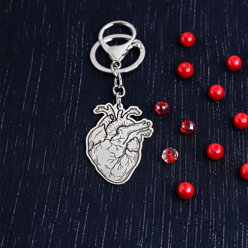 جاکلیدی گلسو مدل قلب آناتومی