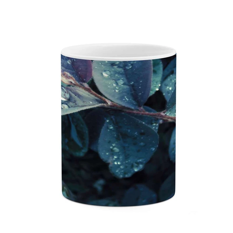 ماگ کاکتی مدل برگ کد mgh14174