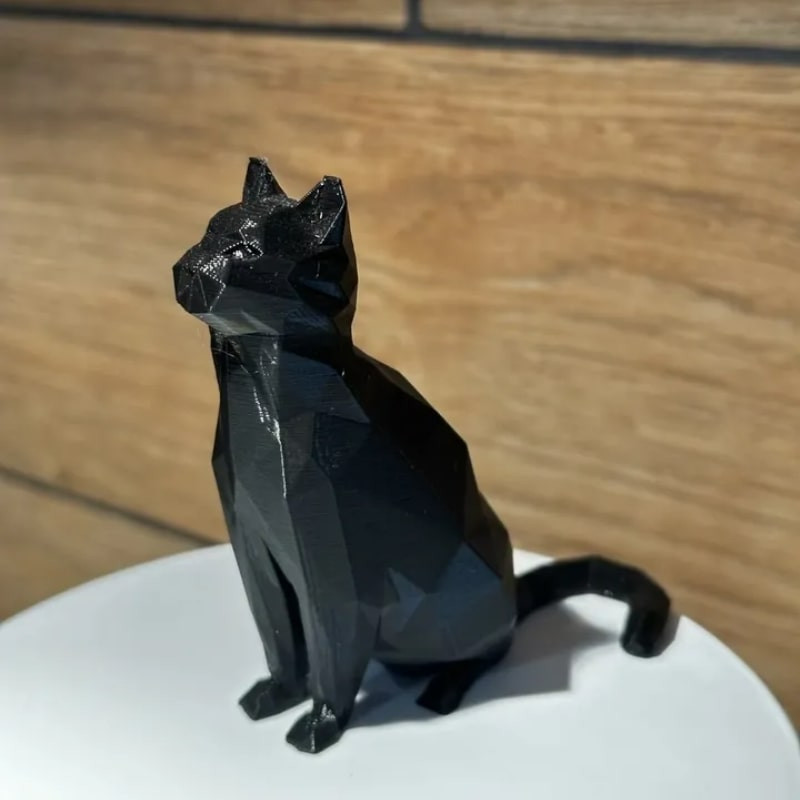 فیگور مدل گربه