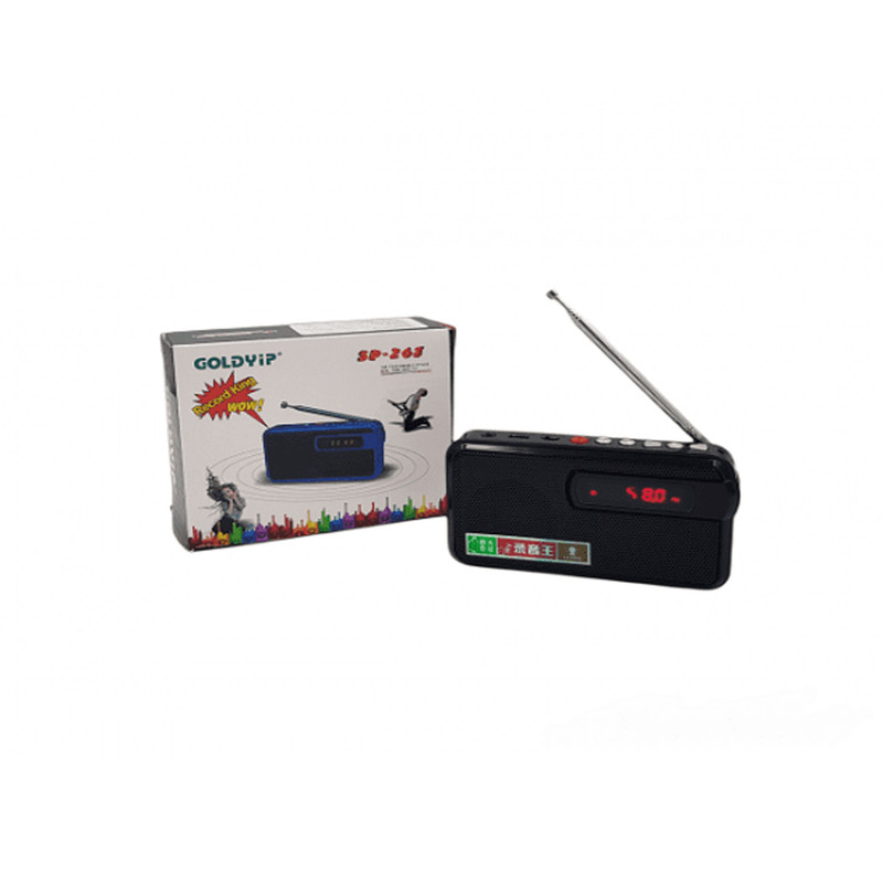 رادیو مدل TBSP263