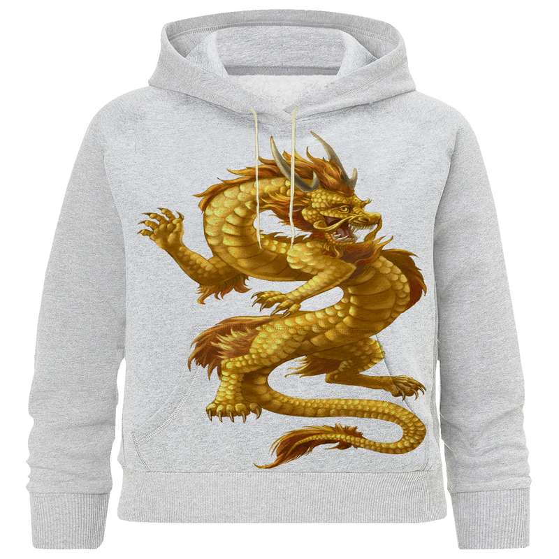 هودی پسرانه مدل C 253 اژدها