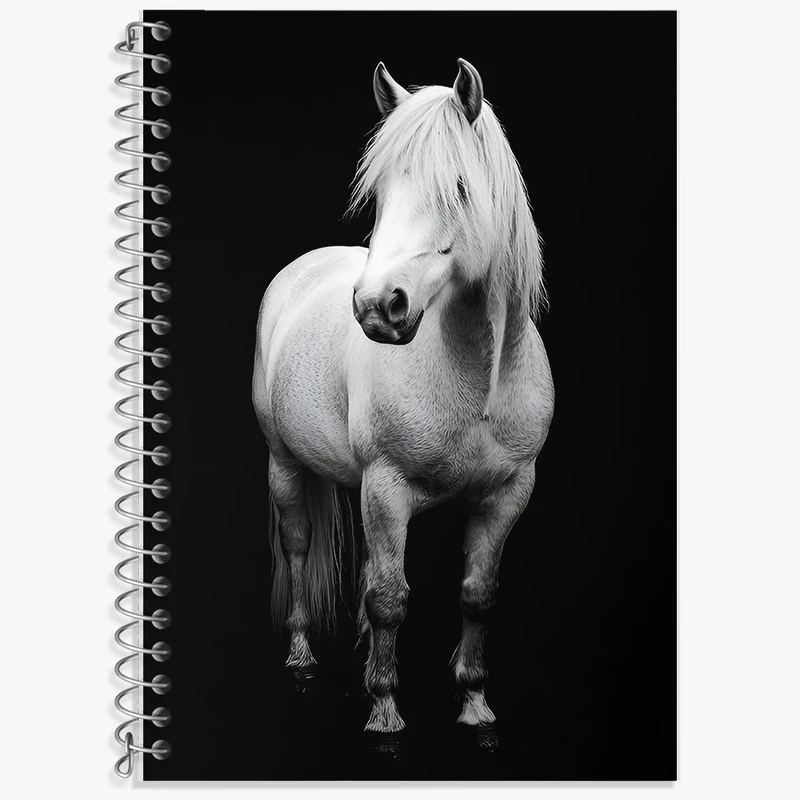 دفتر نت موسیقی 50 برگ خندالو طرح اسب کد F8497