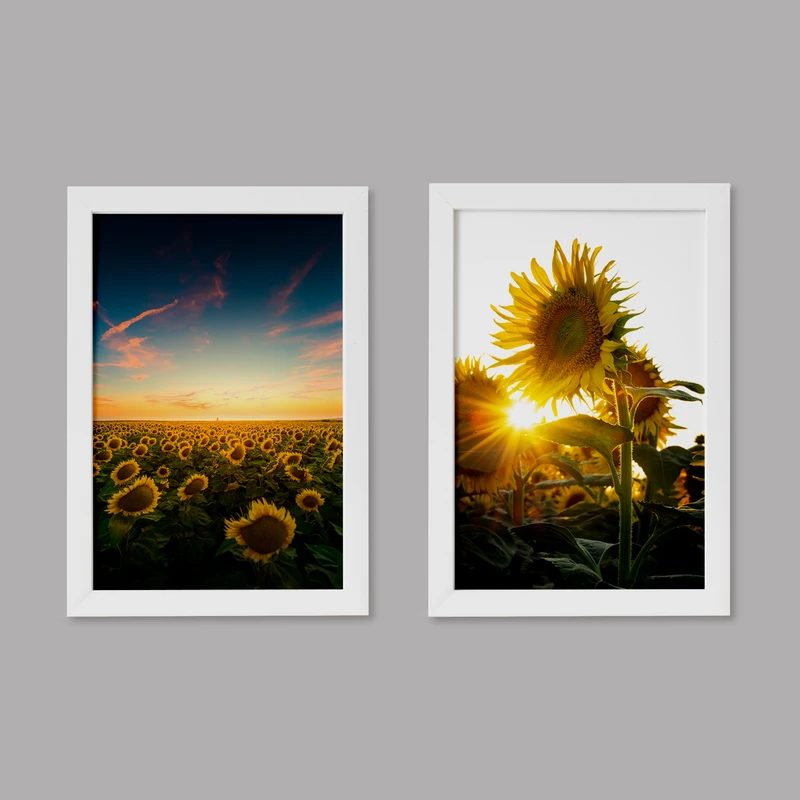 تابلو خندالو مدل دکوراتیو مزرعه آفتابگردان Sunflower کد M99 مجموعه 2 عددی