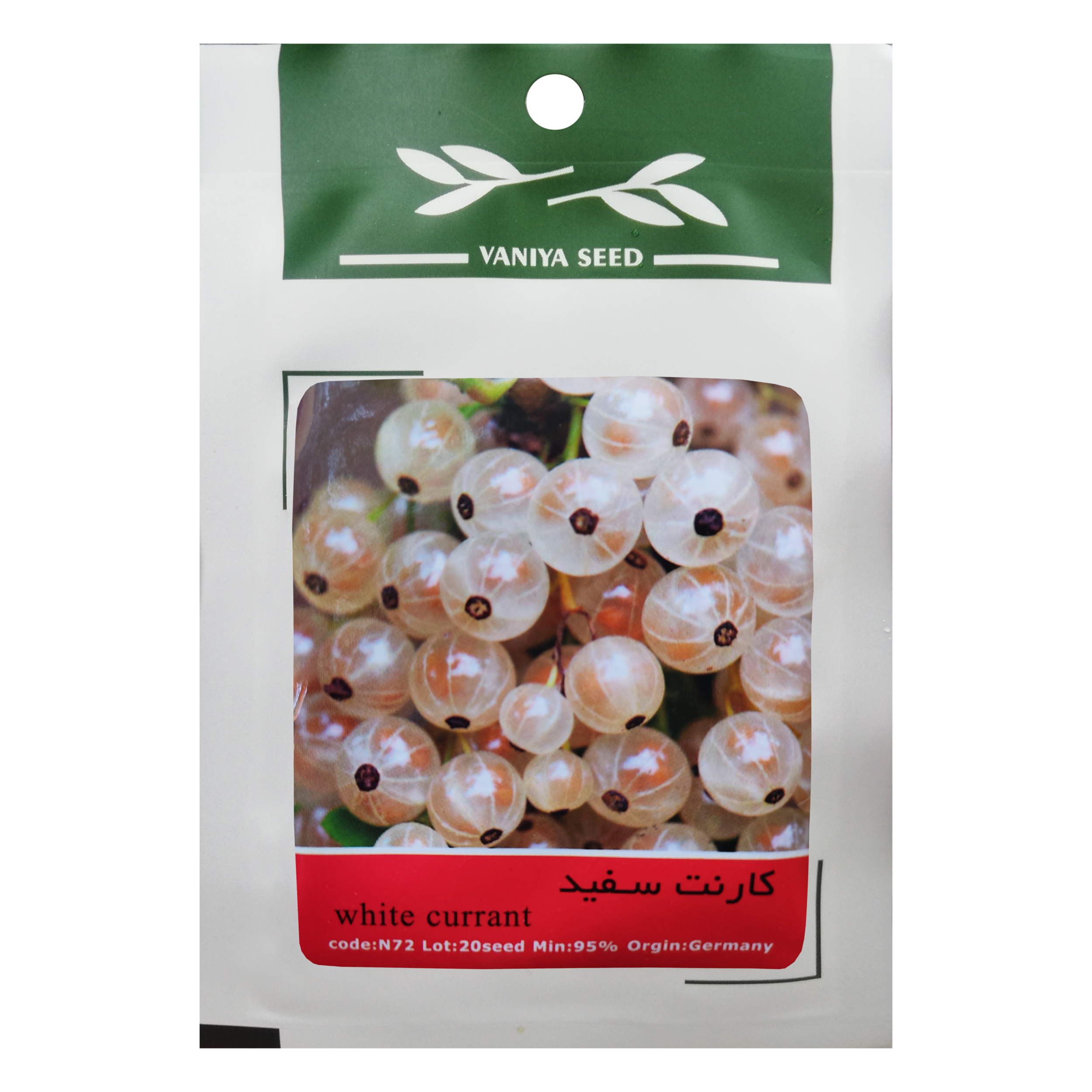 بذر میوه کارنت سفید وانیا سید مدل n72