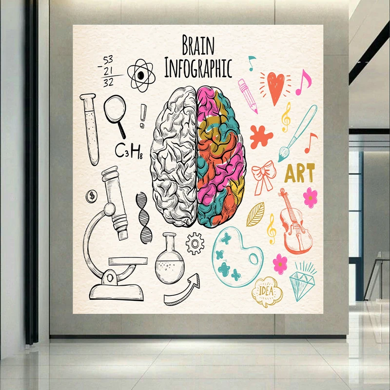 تابلو بوم طرح نیمکره مغز انسان مدل میکروسکوپی کد PD1001