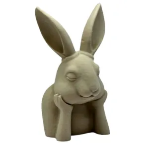 فیگور مدل خرگوش