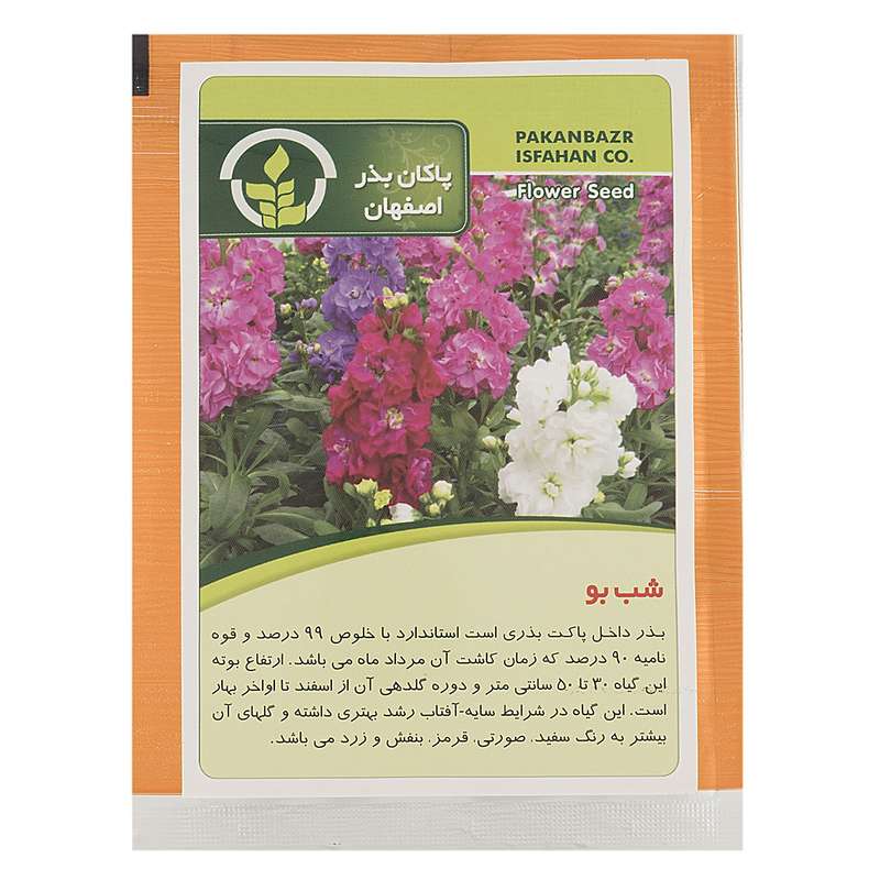 بذر گل شب بو پاکان بذر