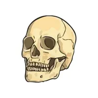 برچسب لپ تاپ طرح اسکلت کد 1757