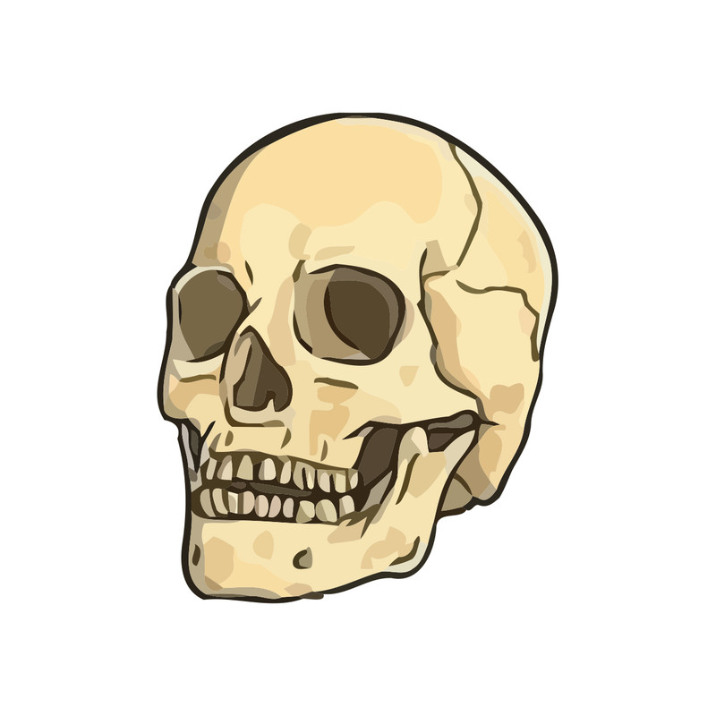 برچسب لپ تاپ طرح اسکلت کد 1757