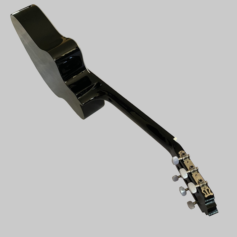گیتار اسپیروس مارکت مدل C80