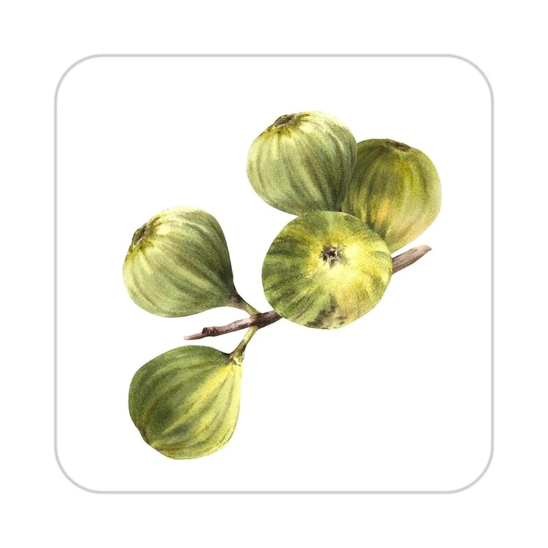 زیر لیوانی کاکتی طرح میوه مدل mp21953