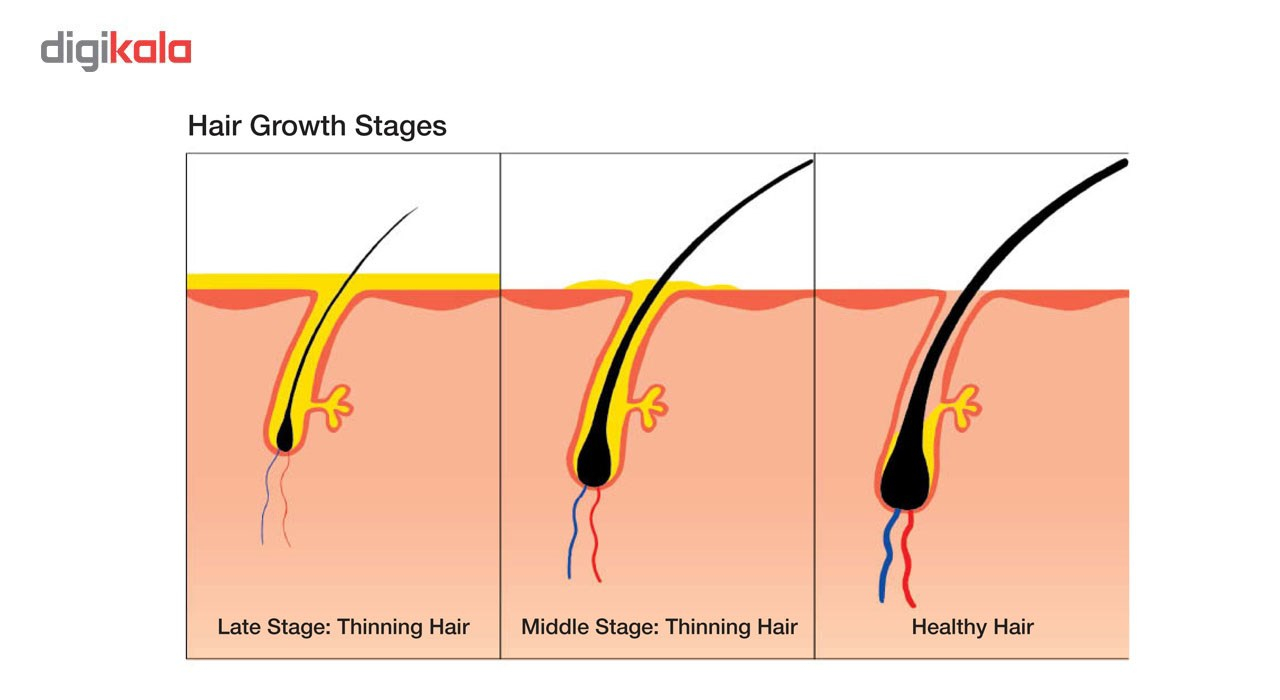 شامپو ضد ریزش بیوتا مدل Bioblas Colored And Highlighted حجم 400 میلی لیتر