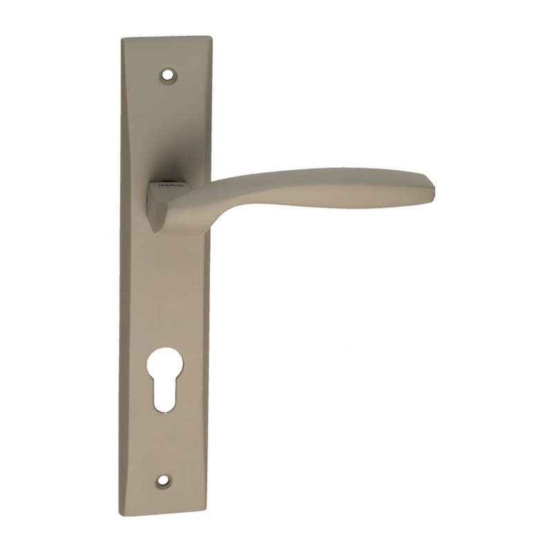 دستگیره در بهریزان مدل E6700A بسته دو عددی دستگیره در بهریزان مدل E6700A بسته دو عددی