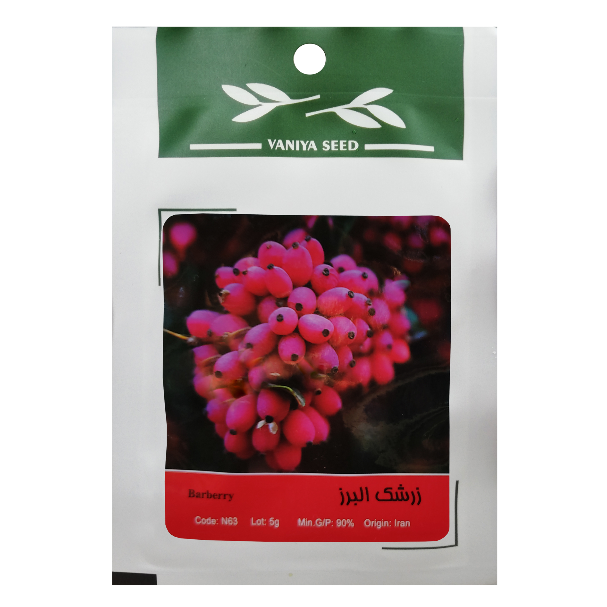 بذر زرشک البرز وانیا سید مدل N83