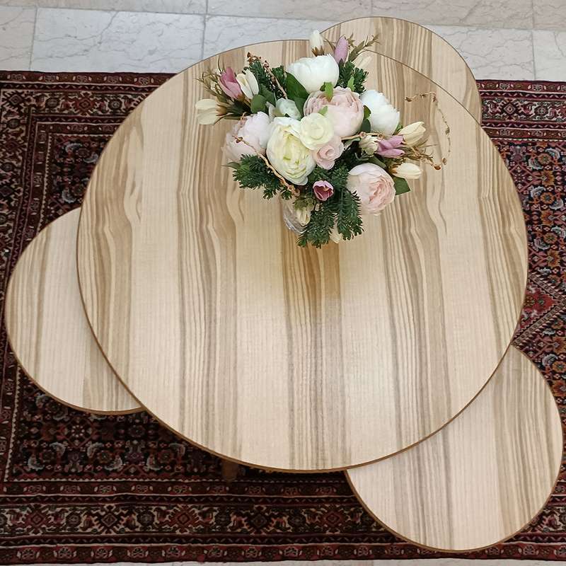 میز پذیرایی مدل سپیدار کد 135 مجموعه 4 عددی