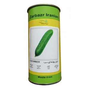 بذر خیار بوته ای زر بذر ایرانیان مدل سوپر دومینوس هیبریدی کد GH50g-57
