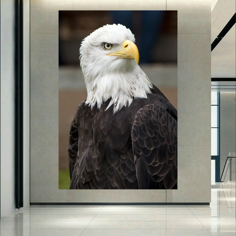 تابلو بوم طرح مخمل عقاب سرسفید مدل باشکوه کد AR305235