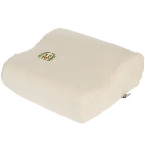 Hooshmand Travel Medical Pillow