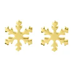 گوشواره اقلیمه کد ES154