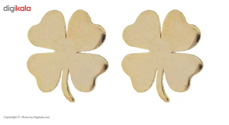 گوشواره طلا 18 عیار رزا مدل EG142