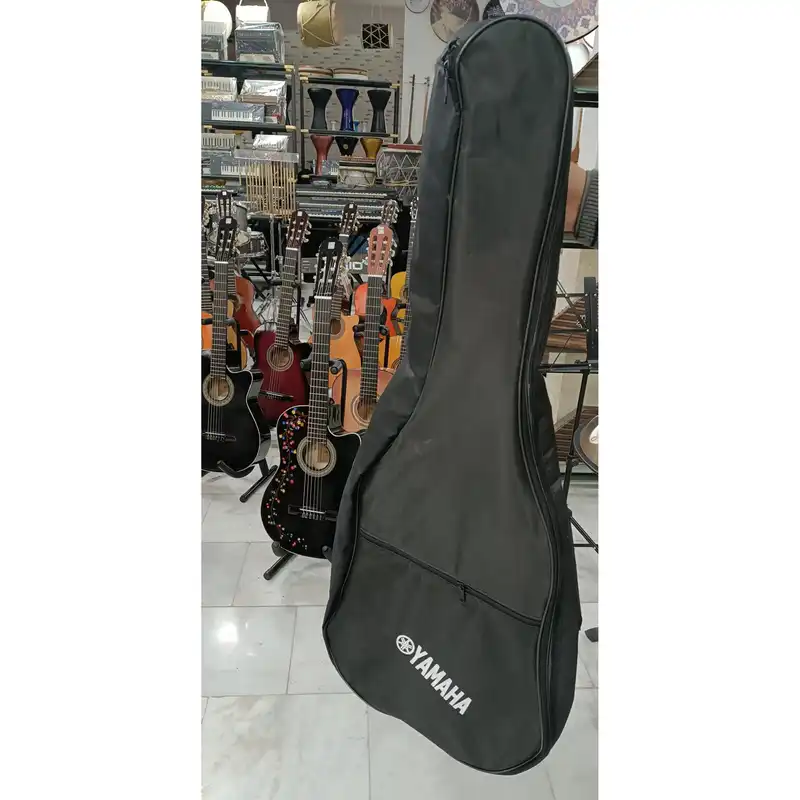 گیتار کلاسیک پرنس مدل COT64