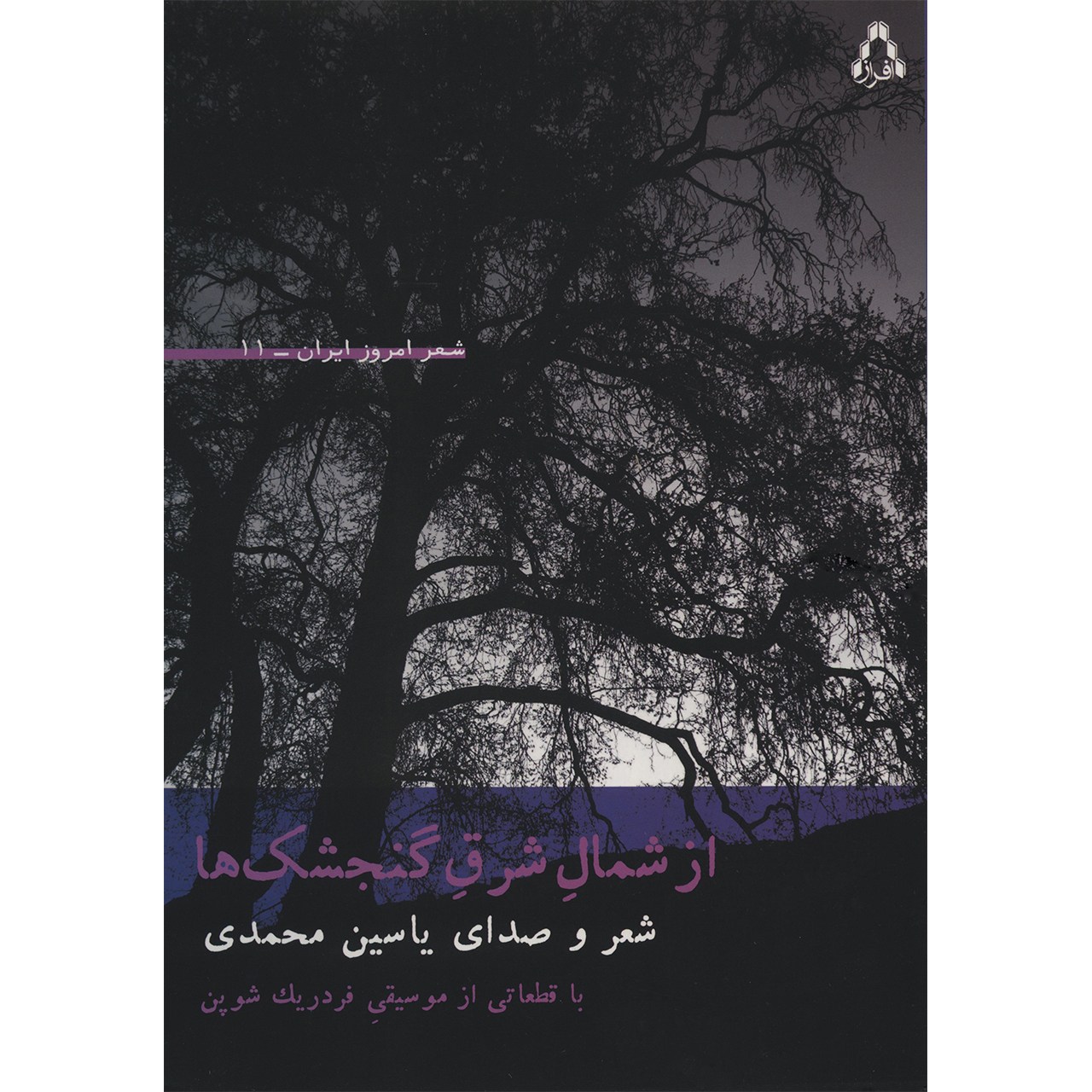 کتاب صوتی از شمال شرق گنجشک ها اثر یاسین محمدی